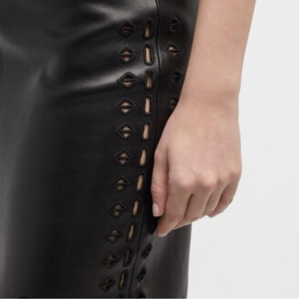 IRO Aline Embroidered Leather Skirt - Picture 5 of 7
